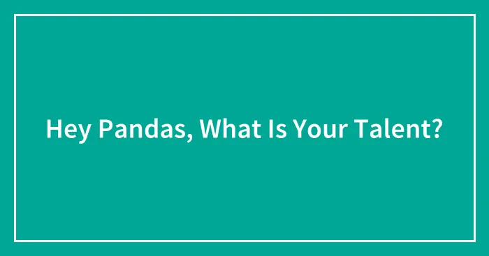 Hey Pandas, What Is Your Talent?