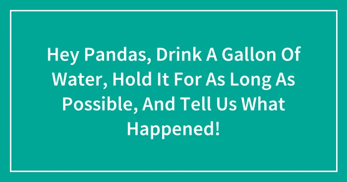 Hey Pandas, Drink A Gallon Of Water, Hold It For As Long As Possible, And Tell Us What Happened!
