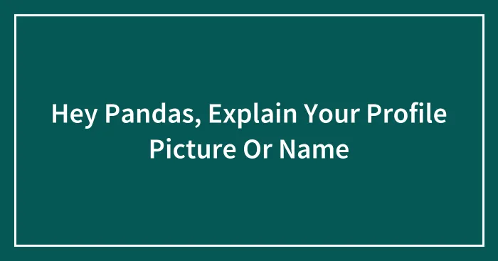 Hey Pandas, Explain Your Profile Picture Or Name (Closed)