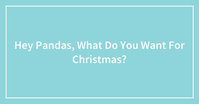 Hey Pandas, What Do You Want For Christmas? (Closed)