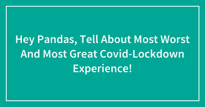 Hey Pandas, Tell About Most Worst And Most Great Covid-Lockdown Experience!