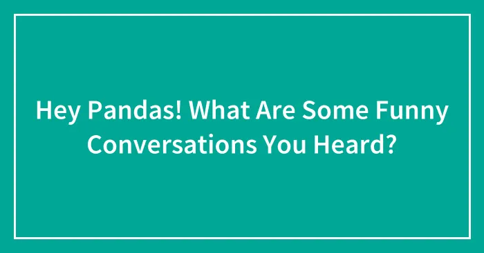 Hey Pandas! What Are Some Funny Conversations You Heard?