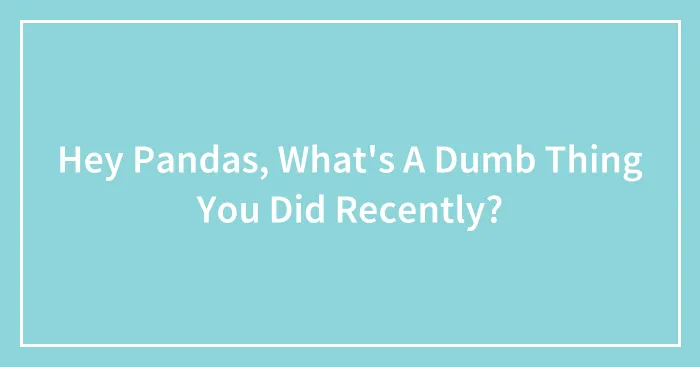 Hey Pandas, What's A Dumb Thing You Did Recently?