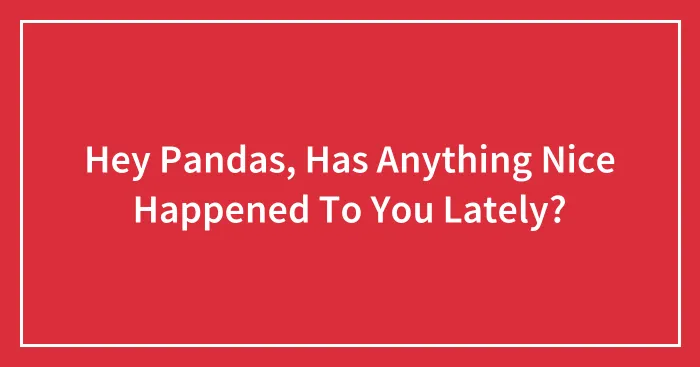 Hey Pandas, Has Anything Nice Happened To You Lately?