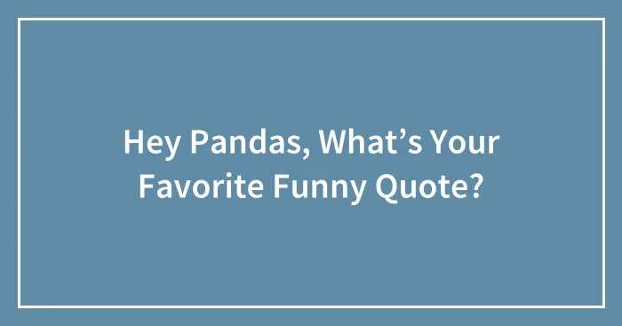 Hey Pandas, What’s Your Favorite Funny Quote?