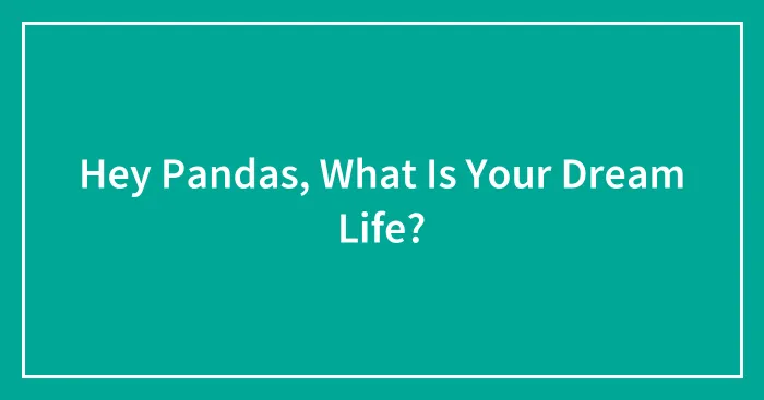 Hey Pandas, What Is Your Dream Life?
