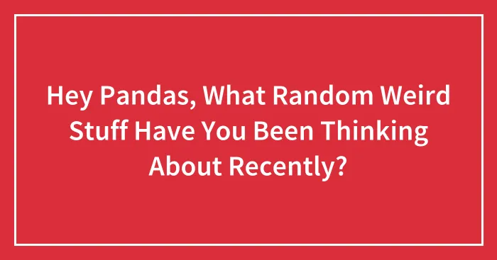 Hey Pandas, What Random Weird Stuff Have You Been Thinking About Recently?