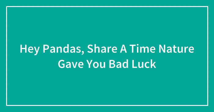 Hey Pandas, Share A Time Nature Gave You Bad Luck