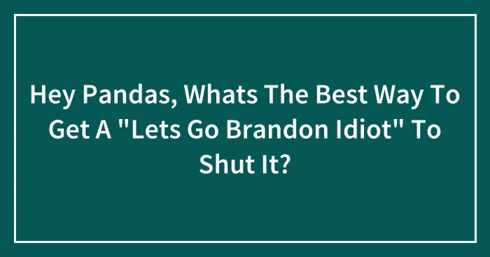 Hey Pandas, Whats The Best Way To Get A "Lets Go Brandon Idiot" To Shut It?