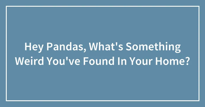 Hey Pandas, What's Something Weird You've Found In Your Home?