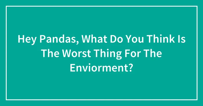 Hey Pandas, What Do You Think Is The Worst Thing For The Enviorment?