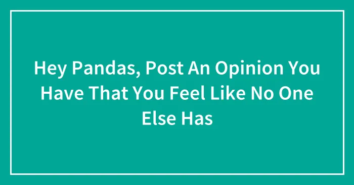 Hey Pandas, Post An Opinion You Have That You Feel Like No One Else Has