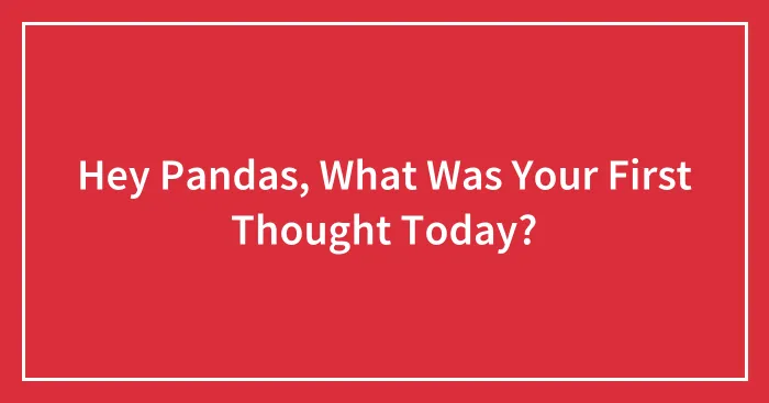 Hey Pandas, What Was Your First Thought Today?