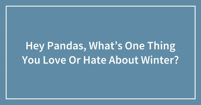 Hey Pandas, What’s One Thing You Love Or Hate About Winter?