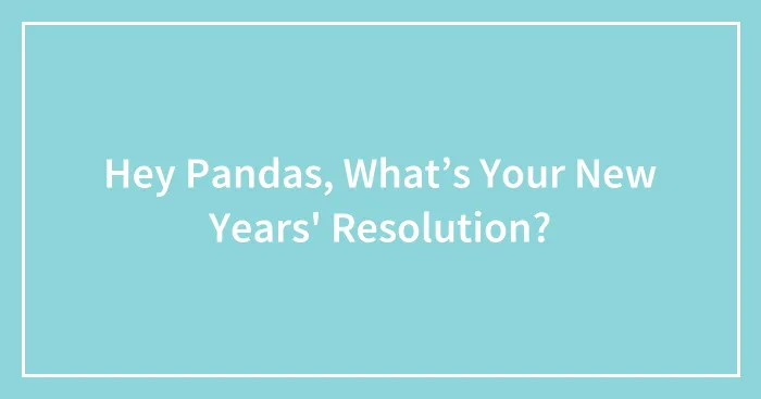 Hey Pandas, What’s Your New Years' Resolution?