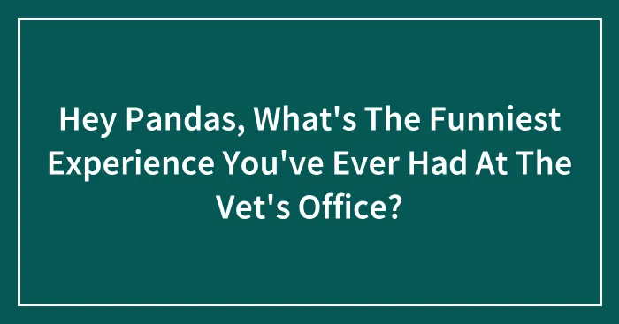 Hey Pandas, What's The Funniest Experience You've Ever Had At The Vet's Office?