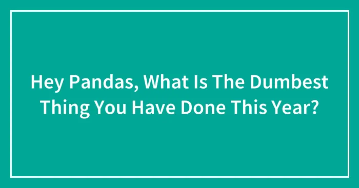 Hey Pandas, What Is The Dumbest Thing You Have Done This Year?