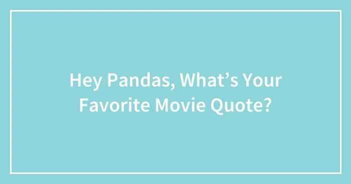 Hey Pandas, What’s Your Favorite Movie Quote?