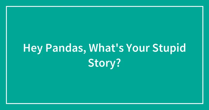 Hey Pandas, What's Your Stupid Story?