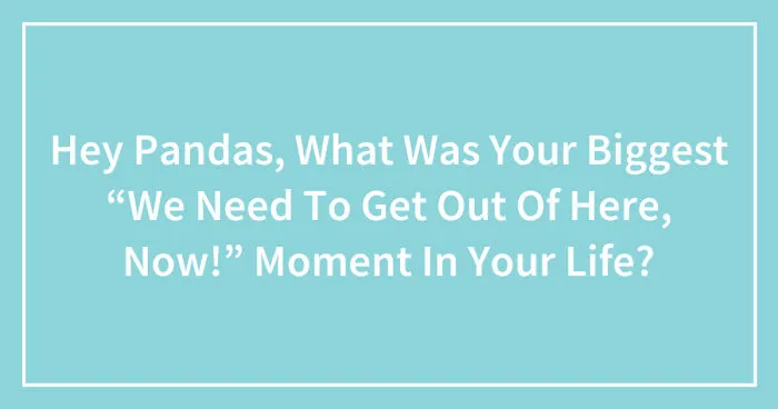 Hey Pandas, What Was Your Biggest “We Need To Get Out Of Here, Now!” Moment In Your Life? (Closed)