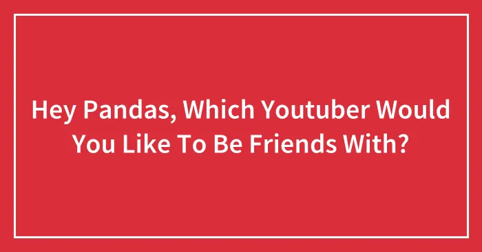 Hey Pandas, Which Youtuber Would You Like To Be Friends With?