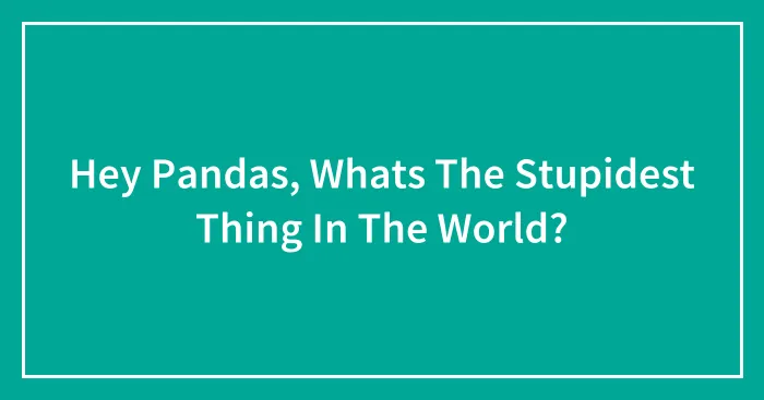 Hey Pandas, Whats The Stupidest Thing In The World?