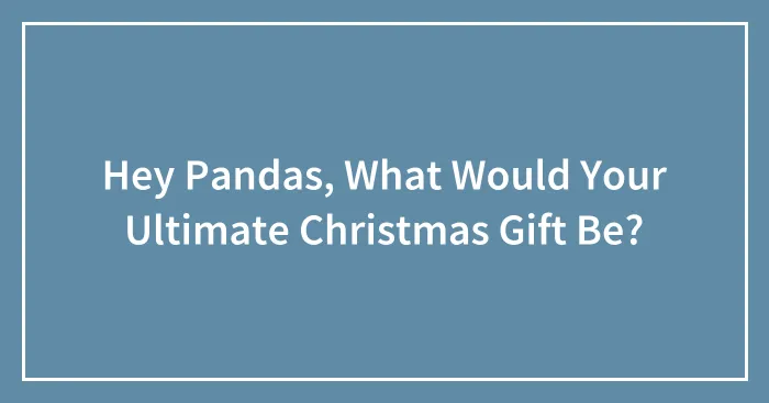 Hey Pandas, What Would Your Ultimate Christmas Gift Be?