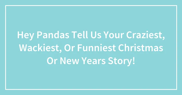 Hey Pandas Tell Us Your Craziest, Wackiest, Or Funniest Christmas Or New Years Story! (Closed)