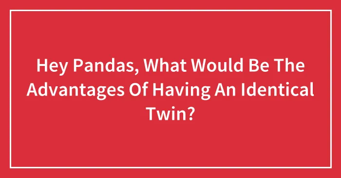 Hey Pandas, What Would Be The Advantages Of Having An Identical Twin?