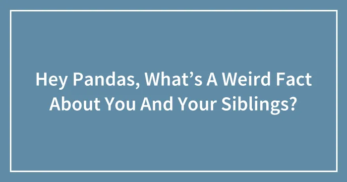 Hey Pandas, What’s A Weird Fact About You And Your Siblings?