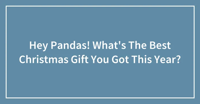 Hey Pandas! What's The Best Christmas Gift You Got This Year? (Closed)