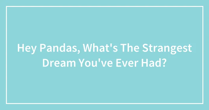 Hey Pandas, What's The Strangest Dream You've Ever Had?
