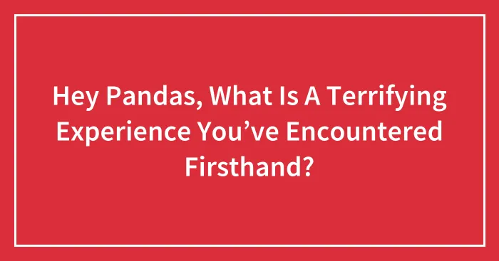 Hey Pandas, What Is A Terrifying Experience You’ve Encountered Firsthand? (Closed)
