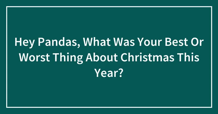 Hey Pandas, What Was Your Best Or Worst Thing About Christmas This Year? (Closed)