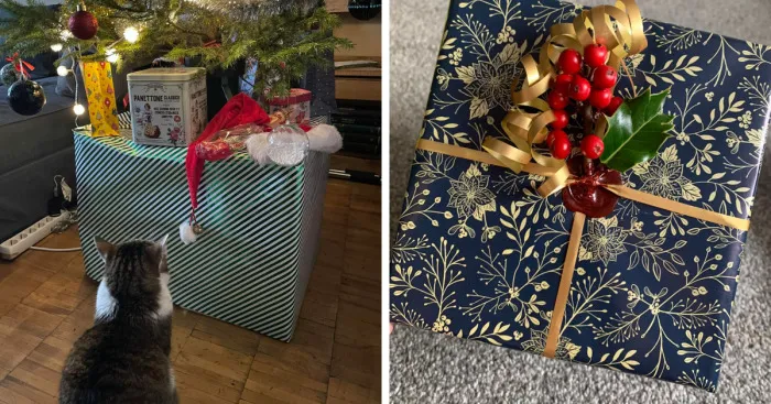 Hey Pandas, Show Us Your Best-Packed Christmas Present (Closed)
