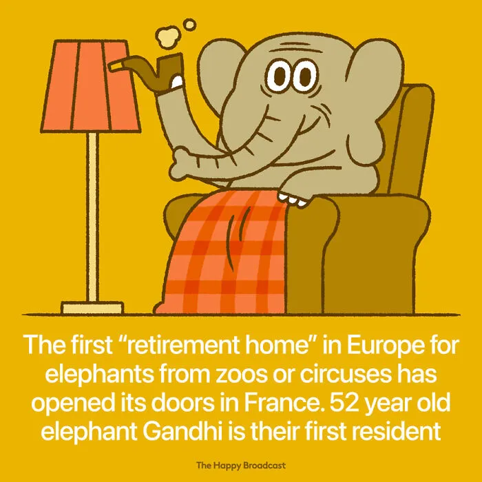 I’m Honestly Fed Up With All The Bad News So I Illustrated The Best News Of 2021