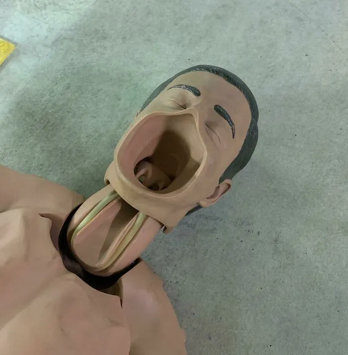This CPR Mannequin Without A Face Looks Like A Baby Bird Wanting Food