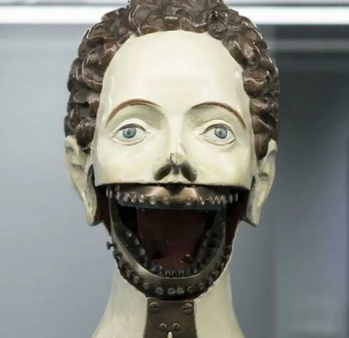 Dental Training Mannequin