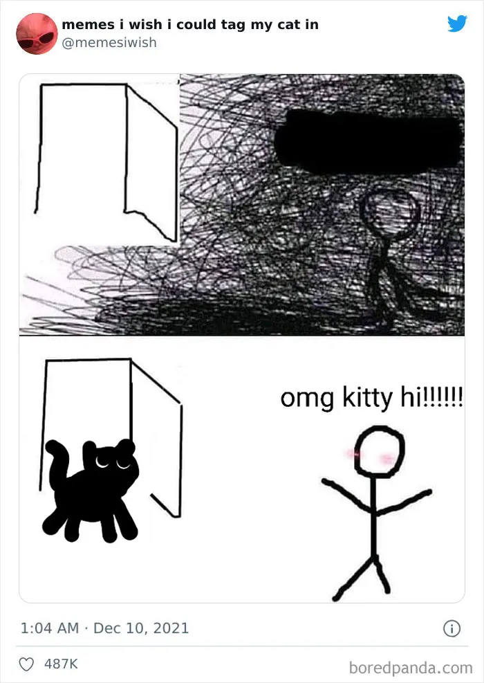 50 Of The Most Spot On "Memes I Wish I Could Tag My Cat In"