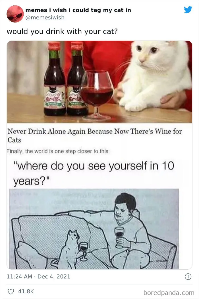 50 Of The Most Spot On "Memes I Wish I Could Tag My Cat In"