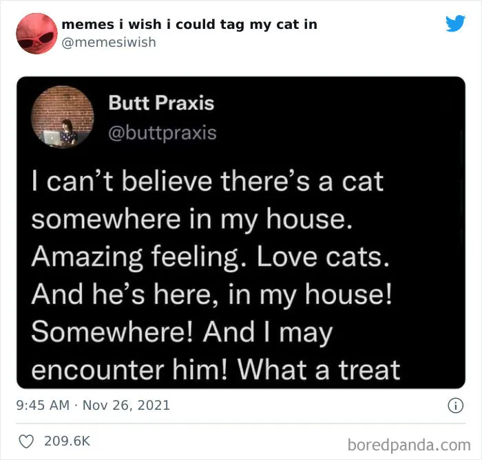 50 Of The Most Spot On "Memes I Wish I Could Tag My Cat In"