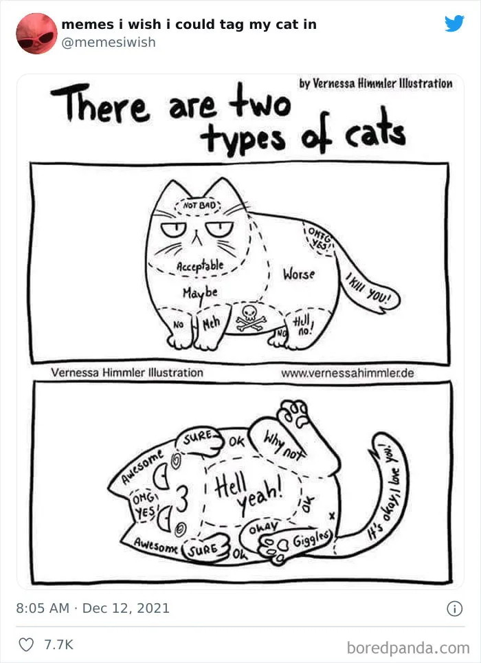 50 Of The Most Spot On "Memes I Wish I Could Tag My Cat In"