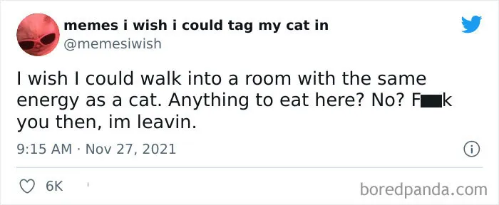 50 Of The Most Spot On "Memes I Wish I Could Tag My Cat In"