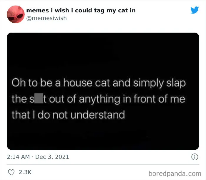 50 Of The Most Spot On "Memes I Wish I Could Tag My Cat In"
