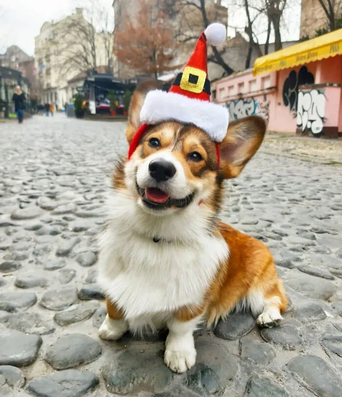 Eddie Wishes You A Merry Christmas