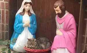 50 Times Pets Made Christmas Better For Everyone (But Sometimes Their Owners Would Disagree)