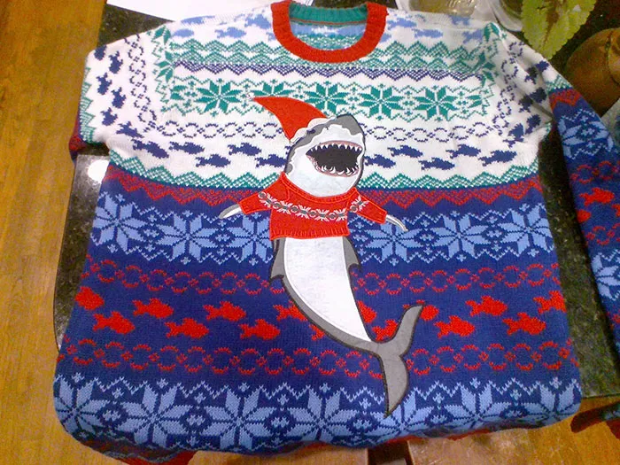 Aparentemente, dije que quería un suéter navideño feo y olvidé completamente que lo había dicho. Pero mi hermana se acordó, y me compró uno, y tengo que sonreír