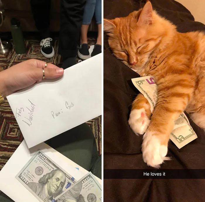 My Dad Didn’t Want My Cat To Feel Left Out This Christmas
