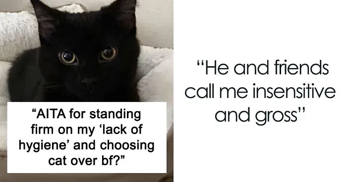 Boyfriend Lists All The Disgusting Things His GF Does With Her Cat, Gets An Instant 'Okay, Bye'