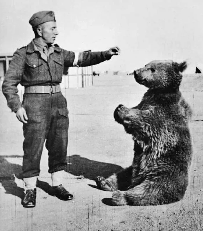 Here Are 35 Of The Most Ridiculous Facts In History, Shared In This Online Thread